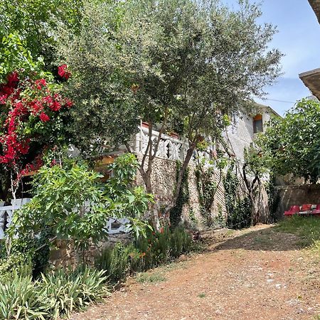 Mustafaraj Apartments Εξαμίλιο Εξωτερικό φωτογραφία