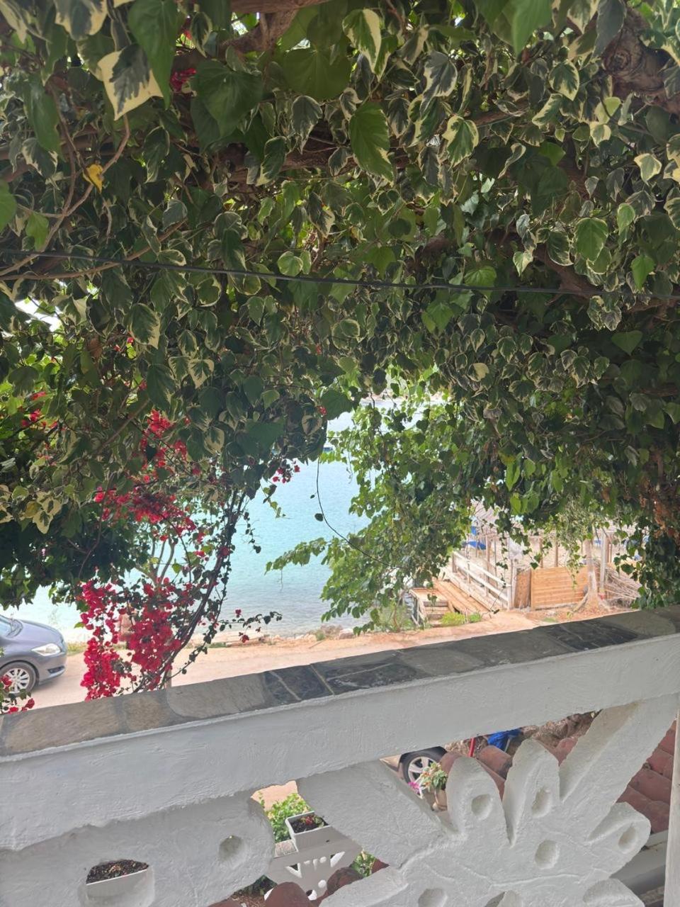 Mustafaraj Apartments Εξαμίλιο Εξωτερικό φωτογραφία
