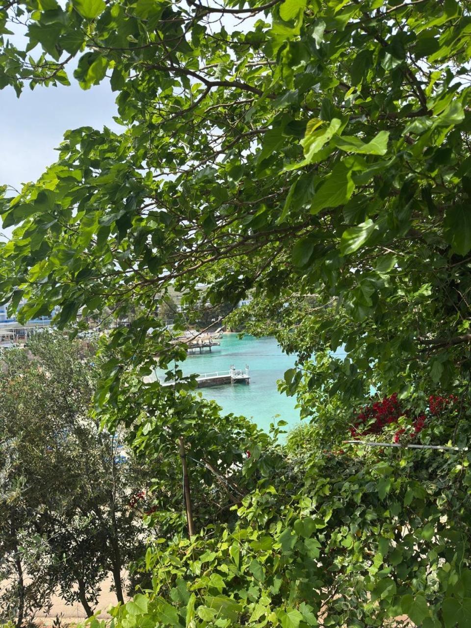 Mustafaraj Apartments Εξαμίλιο Εξωτερικό φωτογραφία