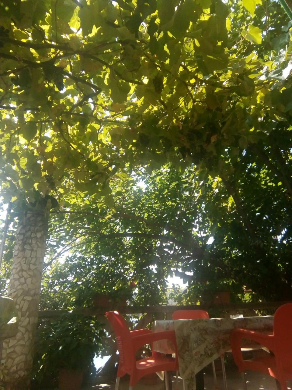 Mustafaraj Apartments Εξαμίλιο Εξωτερικό φωτογραφία